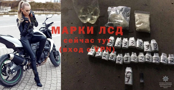 спайс Каменка