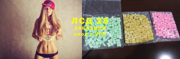 спайс Каменка