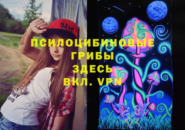 apvp Каменск-Шахтинский