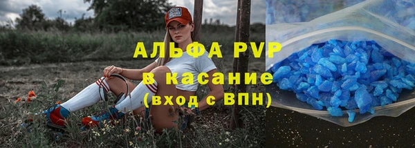 спайс Каменка